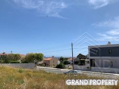 m2 -07501 - photo-1