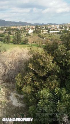 m2 -07518 - photo-1