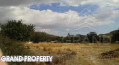 m2 -07524 - photo-3