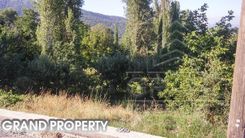 m2 -07533 - photo-1