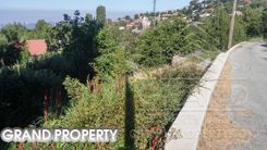 m2 -07533 - photo-2