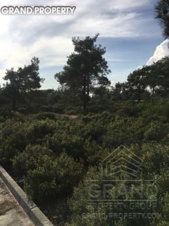 m2 -07538 - photo-2