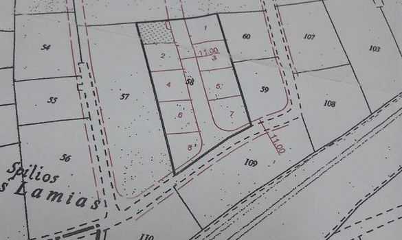 m2 -07544 - photo-3