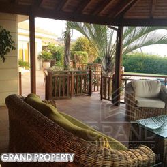 400 m2 -08091 - photo-6