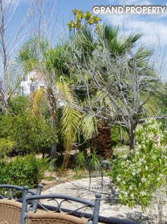 300 m2 -08111 - photo-3