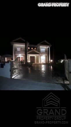 1175 m2 - 08165 - photo-1