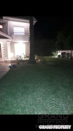 1175 m2 - 08165 - photo-2