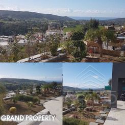 915 m2 - 08209 - photo-6