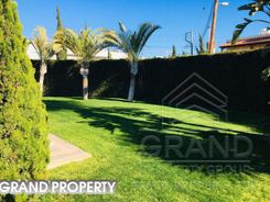 450 m2 -08219 - photo-5