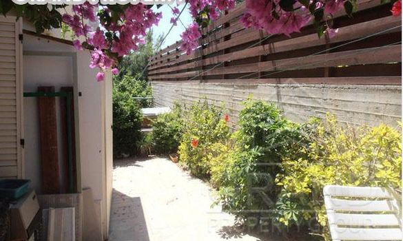810 m2 - 08274 - photo-7
