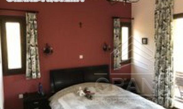 250 m2 - 08419 - photo-1