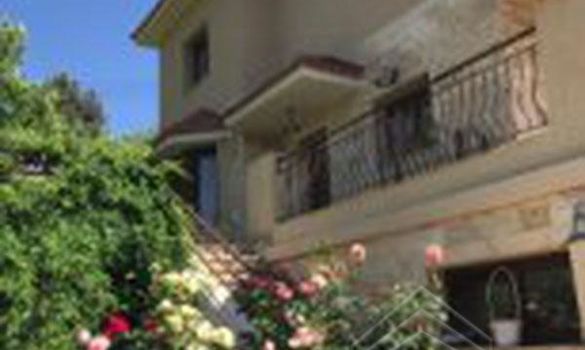 250 m2 - 08419 - photo-6