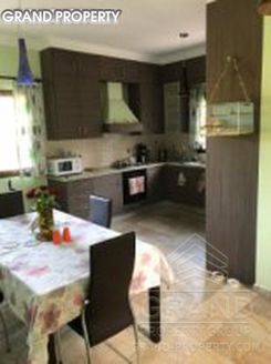 250 m2 - 08419 - photo-3