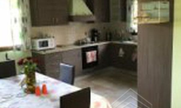 250 m2 - 08419 - photo-3
