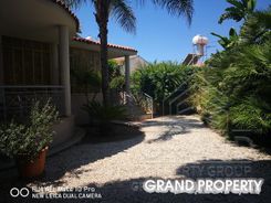 174 m2 -09515 - photo-8