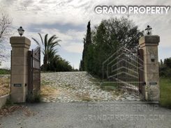 m2 -09623 - photo-2