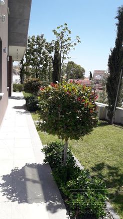 605 m2 -09640 - photo-15