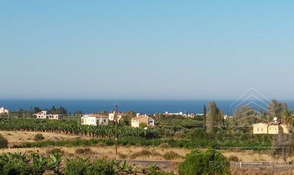 220 m2 - 09661 - photo-3