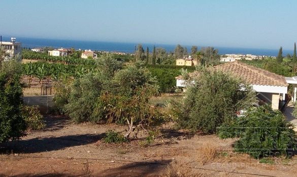 220 m2 - 09661 - photo-7