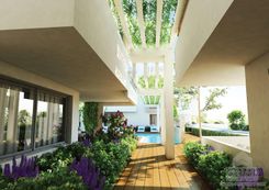 78 m2 - 1293 - photo-4