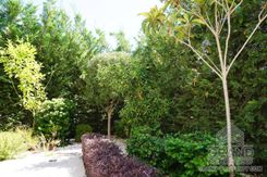 370 m2 - 1330 - photo-18