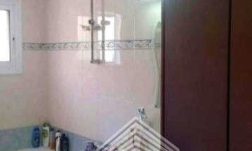 530 m2 - 1372 - photo-2