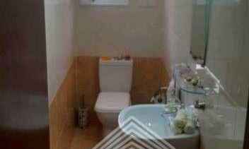530 m2 - 1372 - photo-3
