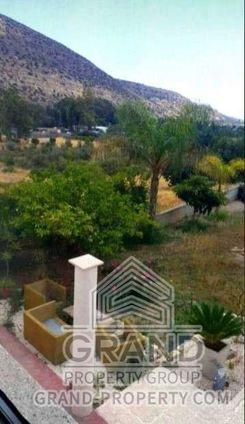 530 m2 - 1372 - photo-8