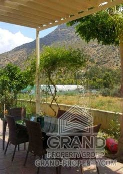 530 m2 - 1372 - photo-9