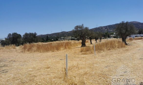 343 m2 - 1385 - photo-7