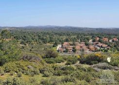 15051 m2 - 1451 - photo-3