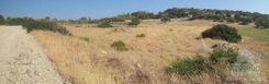4683 m2 - 1462 - photo-1
