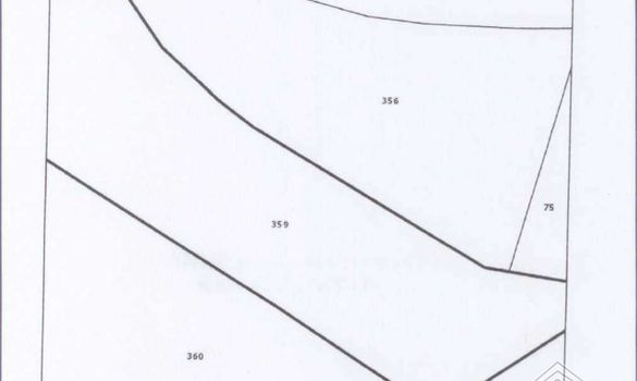 1818 m2 - 1463 - photo-1