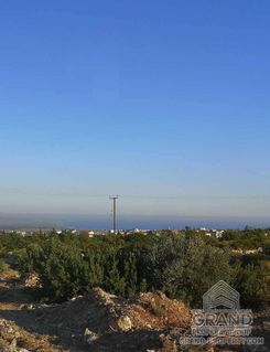 17000 m2 - 1471 - photo-1