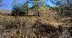 7358 m2 - 1477 - photo-1