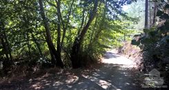 7358 m2 - 1477 - photo-2