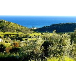5087 m2 - 1482 - photo-4