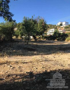 791 m2 - 1531 - photo-1