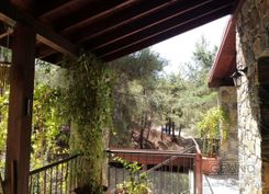 241 m2 - 1535 - photo-7