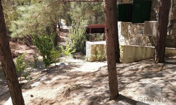 241 m2 - 1535 - photo-10