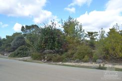 1559 - photo-2