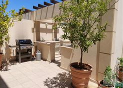 264 m2 - 1563 - photo-3