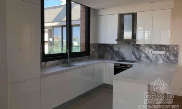 259 m2 - 1639 - photo-3