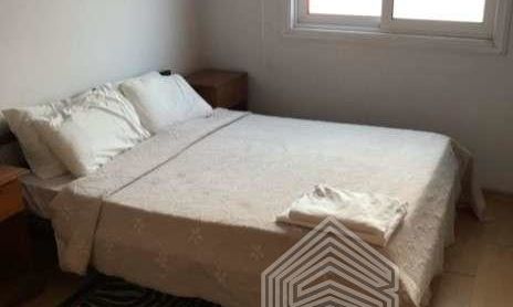 50 m2 - 1645 - photo-2