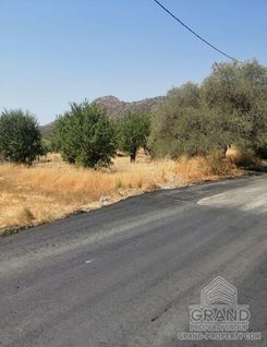 1679 - photo-4