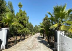 320 m2 - 1715 - photo-2