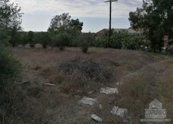 1753 - photo-1