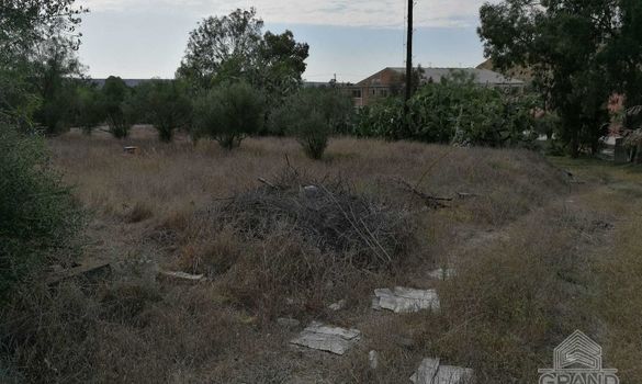 1753 - photo-1