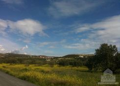 1794 - photo-1