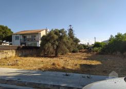 1883 - photo-1